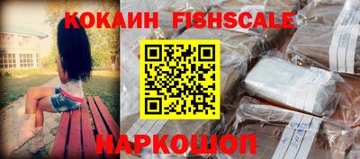 гашик Гатчина