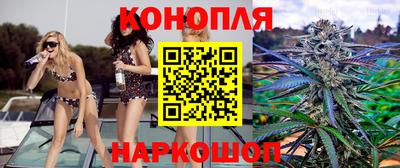дживик Гай