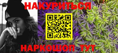 гашик Гатчина
