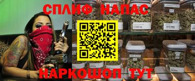 гашик Гатчина