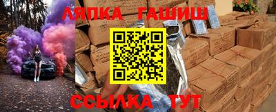 гашик Гатчина