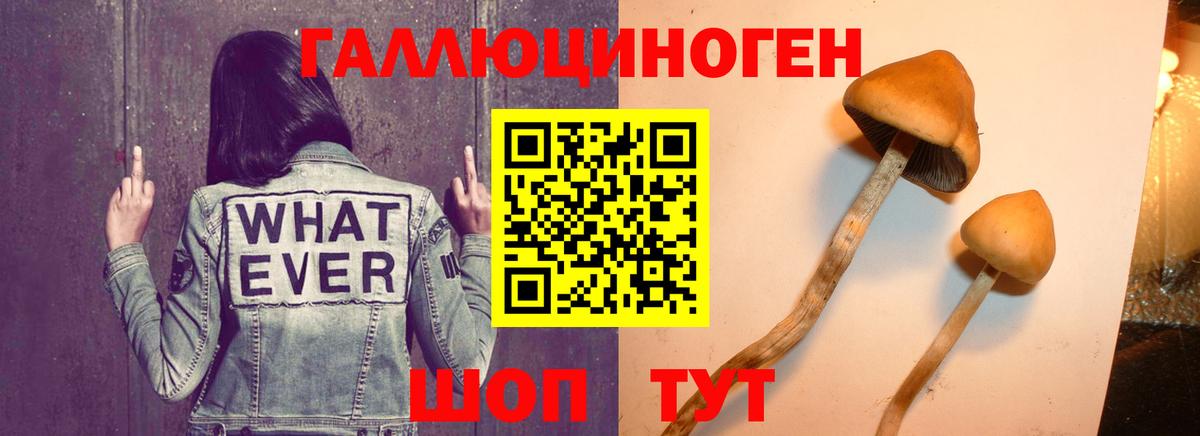 Нижний Новгород  Псилоцибиновые грибы мухоморы  Вход с VPN 